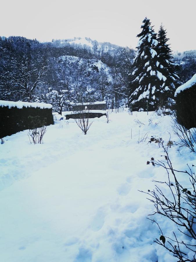 Carpe Diem - Cote-Montagnes Oderen Exterior photo